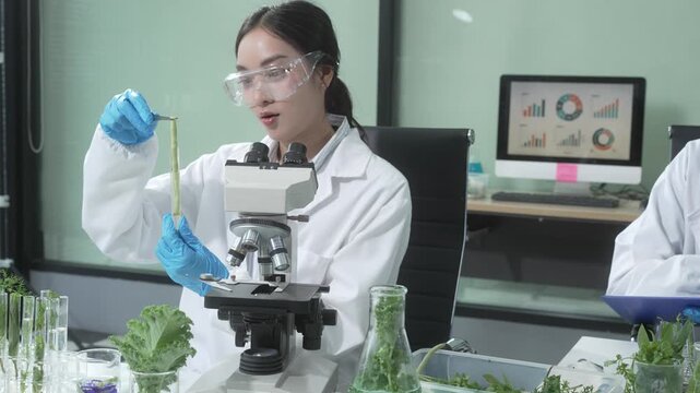 Two female scientists conduct plant experiments in a state-of-the-art laboratory, examining fresh vegetables and leaves under a research microscope to develop agricultural biotechnology,food quality