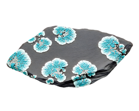 Stunning teal lichen growing on a dark textured stone, a captivating display of nature's artistry, ideal for scientific studies and unique design concepts