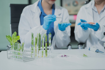 Fototapeta premium Two female scientists conduct plant experiments in a state-of-the-art laboratory, examining fresh vegetables and leaves under a research microscope to develop agricultural biotechnology,food quality
