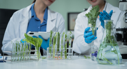 Two female scientists conduct plant experiments in a state-of-the-art laboratory, examining fresh vegetables and leaves under a research microscope to develop agricultural biotechnology,food quality