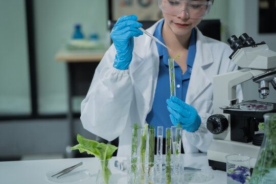 Two female scientists conduct plant experiments in a state-of-the-art laboratory, examining fresh vegetables and leaves under a research microscope to develop agricultural biotechnology,food quality - Powered by Adobe