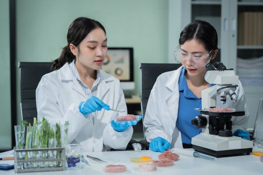 Two Asian female scientists analyze plant and meat samples in a modern laboratory, using microscopes and documenting results to improve food quality, safety, biotechnology,agricultural innovation