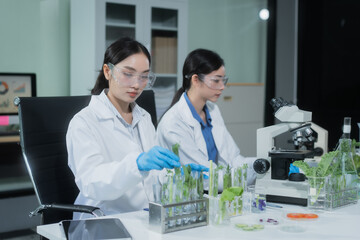 Two Asian female scientists analyze plant and meat samples in a modern laboratory, using microscopes and documenting results to improve food quality, safety, biotechnology,agricultural innovation