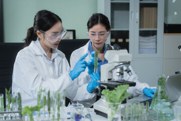 Two Asian female scientists analyze plant and meat samples in a modern laboratory, using microscopes and documenting results to improve food quality, safety, biotechnology,agricultural innovation