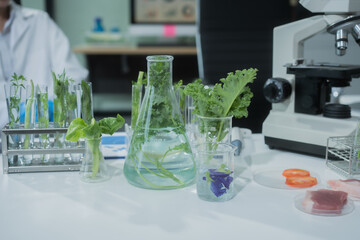 Two Asian female scientists analyze plant and meat samples in a modern laboratory, using microscopes and documenting results to improve food quality, safety, biotechnology,agricultural innovation