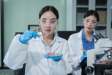 Two Asian female scientists analyze plant and meat samples in a modern laboratory, using microscopes and documenting results to improve food quality, safety, biotechnology,agricultural innovation