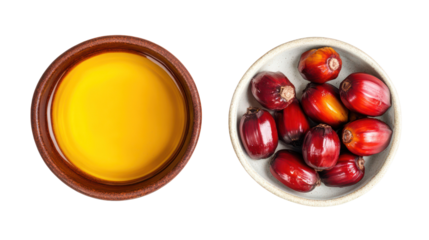 Fresh ripe red palm fruits and palm oil isolated on transparent background