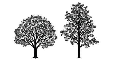 Two detailed tree silhouettes standing side by side representing nature forest ecology and woodland environment graphics. isolated on white background, Vector, illustration