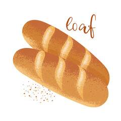 loaf of bread is drawn in flat style with texture, isolated on white background. variety of bakery products with the name of the product. stock vector illustration. EPS 10.