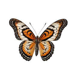 Fototapeta premium Close-up of a butterfly with black and orange wings on a white background, suitable for illustrations or graphics