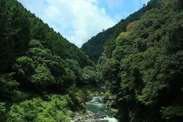 夏の鳩ノ巣渓谷