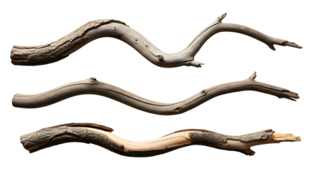 Three curved weathered wooden branches on a white background, isolated natural elements