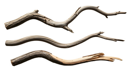 Natural Twisted Wooden Branches Isolated on a White Background