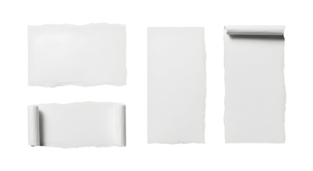 Set of four torn paper pieces with rough edges and rolled sections on a white background