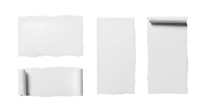 Set of four torn paper pieces with rough edges and rolled sections on a white background
