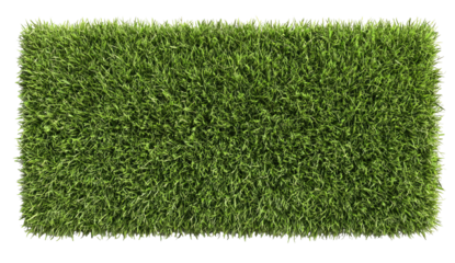 Aerial view of a rectangular patch of vibrant green grass, lush and dense against black backdrop