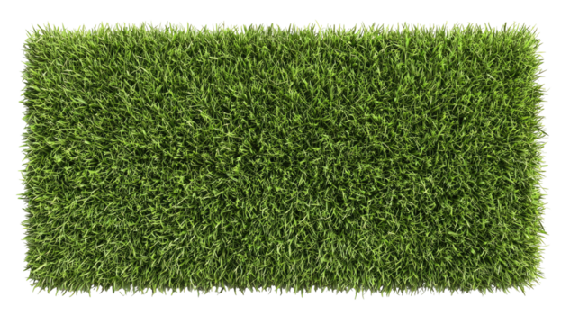 Aerial view of a rectangular patch of vibrant green grass, lush and dense against black backdrop