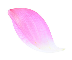 Flowers for worshipping the Buddha on white background.