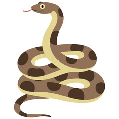 Fototapeta premium Brown Snake with Dark Spots Coiled up and Tongue Flicking Out on White Background