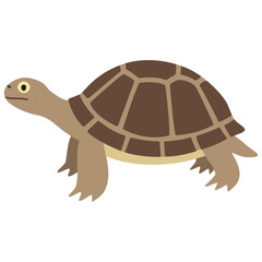 Brown Tortoise Walking on White Background, Cute Cartoon Animal Illustration