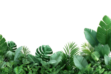 Lush tropical greenery featuring an array of vibrant, oversized leaves against a black backdrop