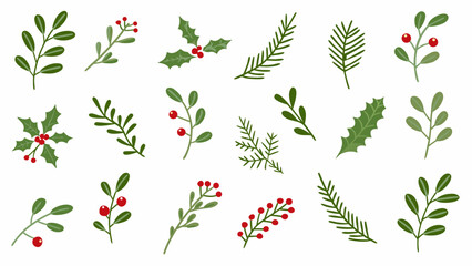 Christmas plant leaf, flower set. Holiday decoration, rustic wreath sketch doodle. Vector illustration.