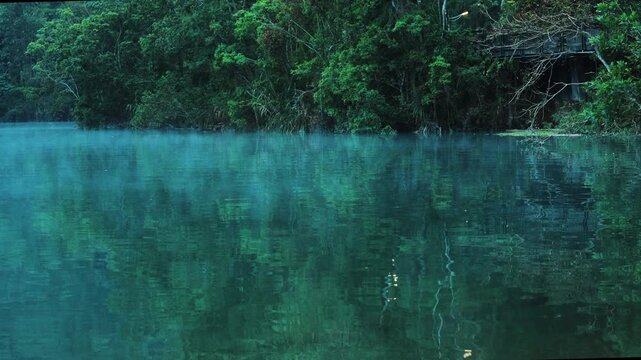 Lake and the forest in the fog