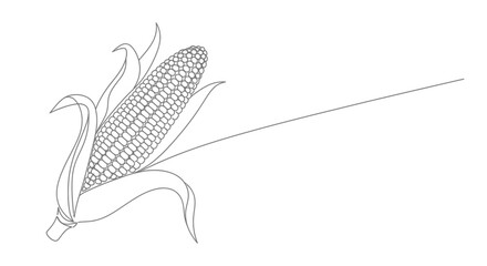 Minimalist single line drawing of a ripe ear of corn with husks and kernels on a white background