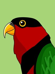 Obraz premium Parrot illustration 