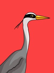 great blue heron