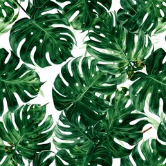 lush green monstera leaves arranged artfully. A vibrant, nature-inspired, and tropical design that evokes a sense of freshness and vitality