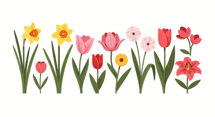 Vibrant collection of spring flowers illustration, featuring daffodils, tulips, and various colorful blooms, perfect for seasonal designs and natural themes