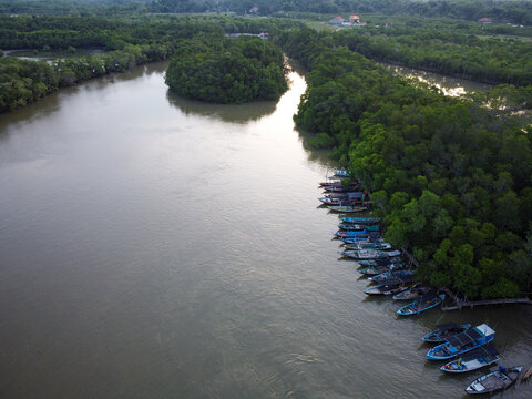 Geladhak Lanjhang estuary with calm tidal water meeting the sea, warm light over mangroves, gentle ripples and a peaceful coastal landscape suitable for natural visuals
