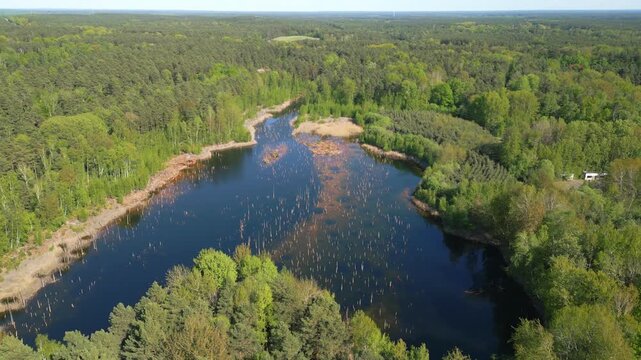 A calm forest lake nestled among dense trees, with dark water and visible shallow patterns near the shore, captured from above in warm sunlight.