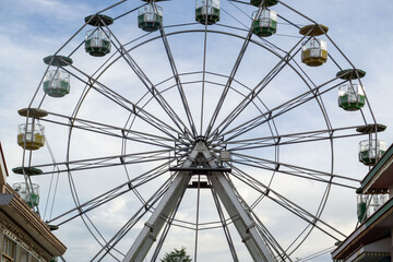 ferris wheel in the park