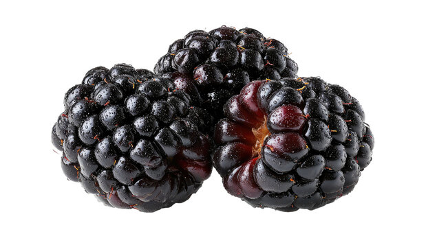 Close-up of three ripe blackberries, showing texture and varying shades