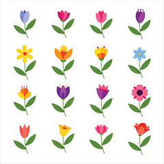 beautiful flat flower vector, spring flower collection