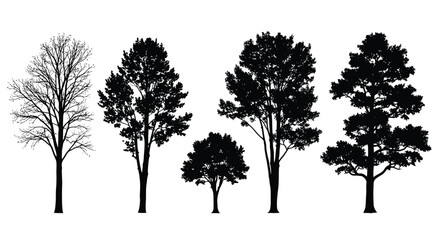Diverse tree silhouettes set isolated on white background including deciduous and evergreens for graphic design element needs isolated on white background, Vector, illustration