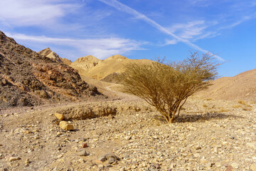 Shlomo Valley landscape in Eilat desert mountains