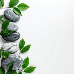 Smooth stones and leaves on white