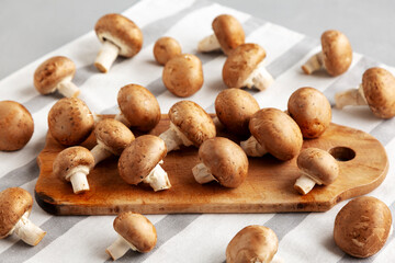 Raw Royal Brown Champignons Ready to Cook