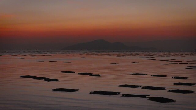 Lau Fau Shan Oyster Farm
