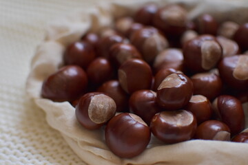 chestnuts on a table