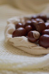 Chestnut