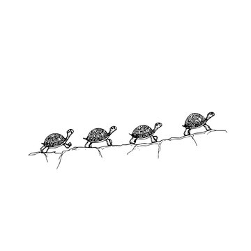 Four turtles in a line climbing over rocks in a black and white illustration style image design art