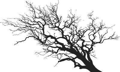 Obraz premium Bare tree hand drawn sketch with gnarled trunk and leafless branches. Vector illustration