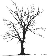 Obraz premium Bare tree, hand drawn sketch silhouette with leafless branches isolated. Vector illustration