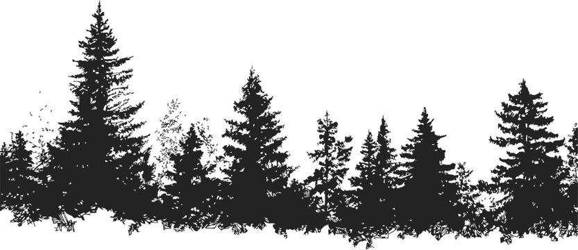 Pine tree silhouettes sketch hand drawn forest border with dense coniferous trees. Vector illustration