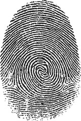 Fingerprint sketch, hand drawn style, detailed whorl pattern biometric identification. Vector illustration