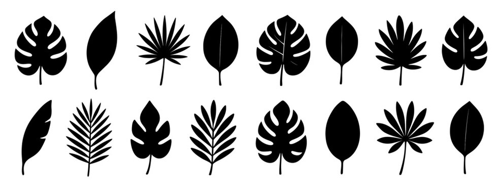 Leaf silhouette collection. Shapes created with high quality. Various tropical and garden leaves shown in clean natural forms